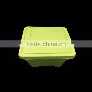 Customized Biodegradable Eco-friendly Two-layer 1000ml Corn Starch Food Container thumbnail-2