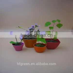 Biodegradable Bamboo Fiber Mini Flower Pot thumbnail-2