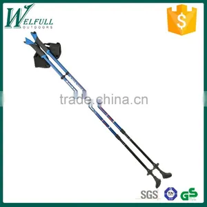 Nordic Walk Stick, 2 Sections, Internal Lock, EVA Handle With Glove, Carbon Fiber Shaft, SZ17015 thumbnail-1