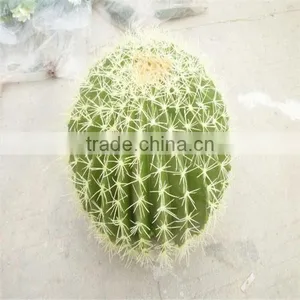 SJM091005 High-quality Decoration Artificial Hoodia Cactus/opuntia Dillenii Haw thumbnail-1