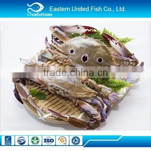 Iqf Wholesale Three Spot Crab Sale thumbnail-1