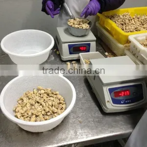 Frozen Boiled Baby Clam Meat thumbnail-2