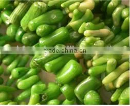 3-7mm Branch Shape Natural Green Coral Bead thumbnail-1
