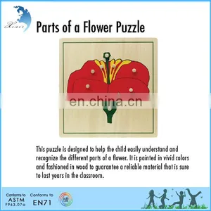 Interesting Educational Flower Puzzle Game Material Montessori Wooden Puzzles thumbnail-1