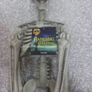 Halloween Skeleton 100% Plastic 5 FT Adult Lift Size Hanging Human Skeleton for Halloween Decoration thumbnail-3