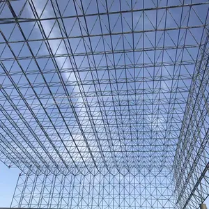 Steel Structure Space Frame Light Steel Coal Storage Grid Steel Structure thumbnail-5