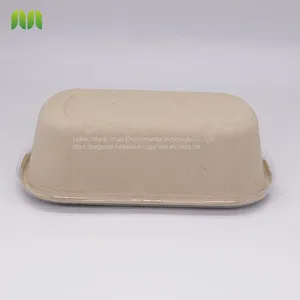 New Hot Disposable Biodegradable Single Compartment Salad Box Bagasse Food Box Take Away Sugarcane Container thumbnail-5