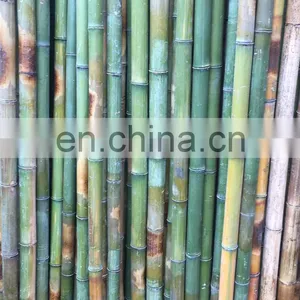 Sell Off Reasonable Price 100% Natural Bamboo Premium Quality Standard Size Open for Decoration From Viet Nam thumbnail-2