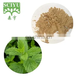 Lemon Balm Leaf Extract Melissa Officinalis Extract thumbnail-1