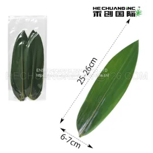 25-27cm in Length Bamboo Leaves Indocalamus Leaves thumbnail-1