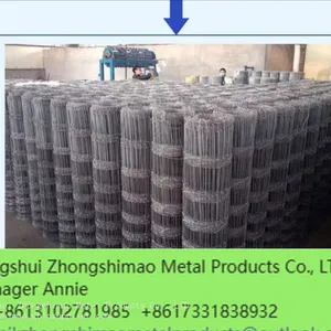 Grassland Fence/Field Fence/Galvanized Steel Mesh/ stock Fencing Wire/Cattle Fence thumbnail-1