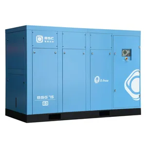 Catalytic Oil-Free Compressor Oil-Free Air-Cooled BSG Series thumbnail-1