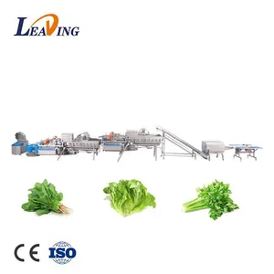 Energy Saving Commercial Vegetables and Fruit Washing Machine Industrial Automatic Stainless Steel Food Cleaning Washing Line thumbnail-2