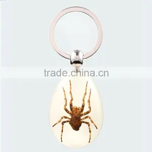 2016 New Spide Keychain With Real Insect thumbnail-1