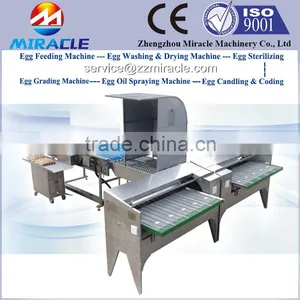 5000 Eggs Grading Machine, Sus304 Egg Grading and Sorting Machine by Weight thumbnail-1
