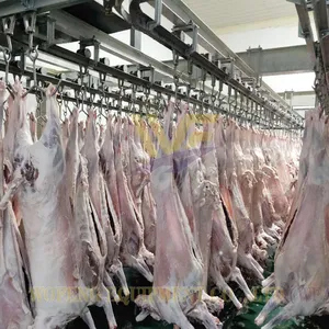 HACCP Standard Integrated Goat Slaughter Production Line Full Stainless Steel Processing Equipment With Adjustable Production Capacity thumbnail-1