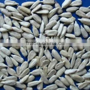Chinese Organic Sunflower Kernels thumbnail-1
