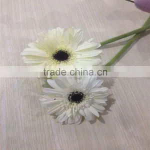 Hot Sales Perfume and Fresh Gerbera Cut Flowers thumbnail-6