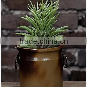 Gardening Pots With Ceramic Pottery Material thumbnail-6