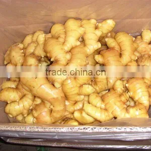 China Fresh Ginger Export the World thumbnail-2