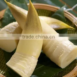 High Quality Canned Bamboo Shoot to European,American,Africa thumbnail-2