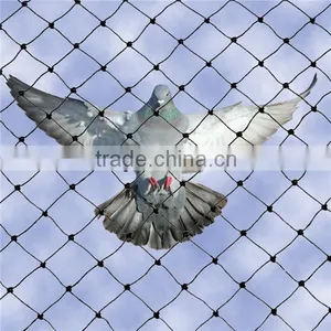 Plastic Anti-Bird Mesh/ Pond Covering Mesh/Anti-Bird Mesh thumbnail-3