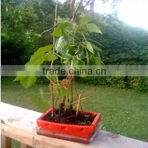 Corrugated Plastic Flowerpot thumbnail-1