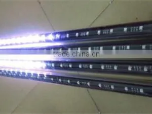 2016 Newest Christmas 3d Disco Smd5050 Led Dmx Christmas Lights thumbnail-4