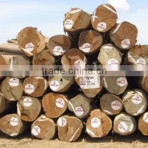 Wood Logs thumbnail-2