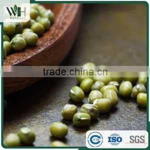 AMA Certified Green Mung Bean thumbnail-3