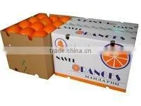 2011 New Crop Navel Orange thumbnail-1