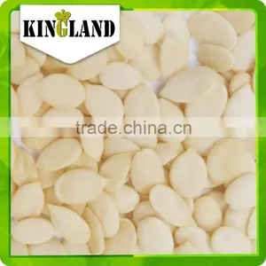 Best Tasting Black Seedless Watermelon Seed thumbnail-6