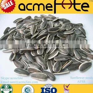 Top Quantity Chinese Sunflower Oil Seeds in Shell 5009 With Market Price thumbnail-1