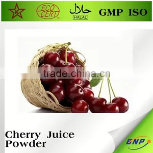 BNP ISO HALAL 100% Natural High Quality Water Soluble Acerola Cherry Extract Powder thumbnail-4
