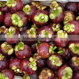 High Quality Kosher Certified HPLC 10%-98% Mangosteen Extract Supplier thumbnail-4