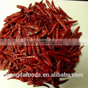 Hot Small Chaotian Chili thumbnail-2