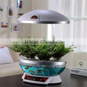 Aquarium New Product thumbnail-6