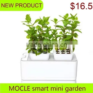 Terra Cotta Pots Cheap thumbnail-1