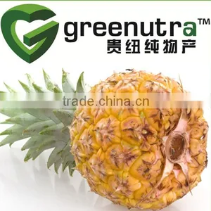 Pineapple Extract Bromelain thumbnail-1