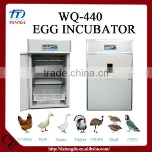 Brand New Import Incubators With CE Certificate thumbnail-1
