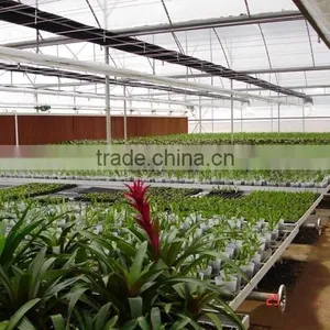 Low Cost Movable Greenhouse Bench Plastic for Agriculture thumbnail-6