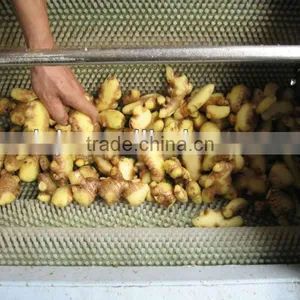 Ginger Washing and Peeling Machine for Sales thumbnail-3