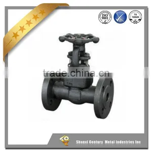 SNSI API Globe Valve thumbnail-1
