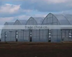 Easy Assembled Plastic Agriculture Greenhouse thumbnail-1
