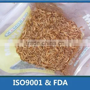 Eco-Friendly Dired Mealworms Wild Bird Feeding, Animal Feed Mealworm thumbnail-1