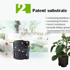 Smart Design Air Purifier With Air Quality Sensor Air Cleaner Ozone Generator thumbnail-6