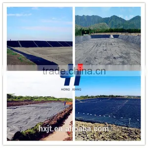 Best Price Geomembrane Containment Liners for Water Slope Protection/HDPE Geomembrane Sheet thumbnail-6