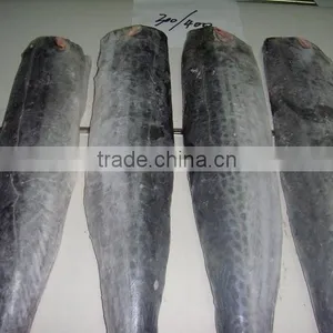 High Quality Frozen Spanish Mackerel Fillet thumbnail-5