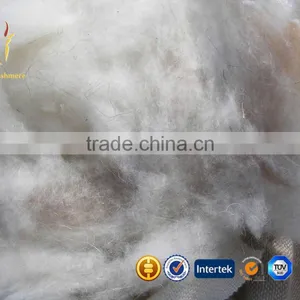 Dehaired Cashmere Wool Fiber Raw Sheep Wool For Sale thumbnail-2