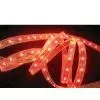 Silicon Tube Waterproof 3528 Led Strip thumbnail-1